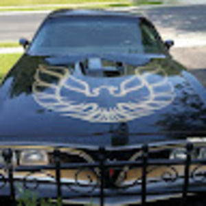 Meet your Posher, Allie